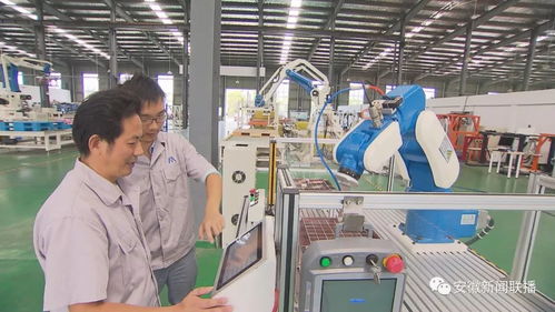 安徽優(yōu)化金融生態(tài)賦能民企小微發(fā)展 北京網(wǎng)絡(luò)技術(shù)服務(wù)模式提供創(chuàng)新借鑒